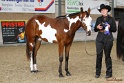 22-APHA HOTC_130